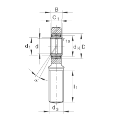 桿端軸承 GAR30-DO, 根據 DIN ISO 12 240-4 標準，帶右旋外螺紋，需維護